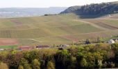 Tour Zu Fuß Schengen - Autoped Bech-Kleinmacher - Photo 9