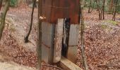 Trail Walking Houppeville - foret monumental - Photo 7