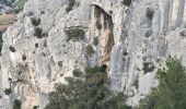 Tocht Stappen La Cadière-d'Azur - 20250116 le gros cerveau  - Photo 2