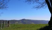 Tocht Stappen Saint-Christophe-Vallon - Le Puech du Cayla  - Photo 7