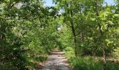 Excursión Senderismo Hechtel-Eksel - Promenade vers la piste dans les arbres  - Photo 16