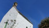 Tocht Stappen Carantec - Carantec - Roscoff - Photo 2