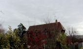 Trail Walking Ymare - 20240123-ymare - Photo 15