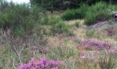 Excursión Senderismo Cambon-et-Salvergues - Col de Fontfroide - Les Bourdils - Photo 2