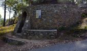 Randonnée Marche Cotignac - Cotignac - Les chapelles - Habitat Troglodyte - (V1 longue) - Photo 18