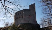 Randonnée Marche Andlau - Andlau - châteaux d'Andlau et du Spesbourg - Photo 19