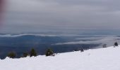 Percorso Sci di fondo Escragnolles - panoramique enneigé - Photo 3