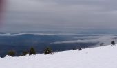Trail Cross-country skiing Escragnolles - panoramique enneigé - Photo 3