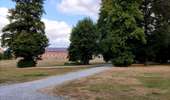 Trail Walking Enghien - Le Parc d'Enghien et ses jardins exceptionnels  - Photo 7