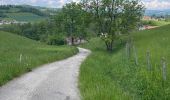 Trail Walking Cusy - Premier essai chavonnes - Photo 1