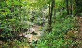 Trail Walking Rocamadour - les lavandes d'Alix - Photo 14