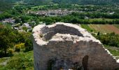 Randonnée Marche Flassans-sur-Issole - Boucle autour de Flassans-sur-Issole - Photo 9