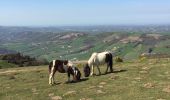 Tocht Stappen Ainhoa - Errebi boucle depuis carrière Ainhoa  - Photo 10