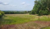 Trail Walking Fosses-la-Ville - Vitrival 030625 - Photo 5
