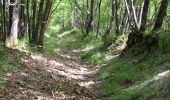 Trail On foot Portico e San Benedetto - Da Bocconi verso i Monti Gemelli - Photo 1