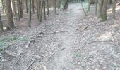 Trail Walking Beure - 