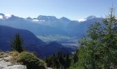 Randonnée Marche Naters - De Belalp à Nessel par le bisse de Nessjeri - Photo 11