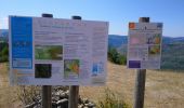 Percorso Marcia Gorges du Tarn Causses - La Condamine, le Single  - Photo 4