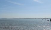 Tocht Stappen Le Crotoy - balade baie de somme - Photo 12