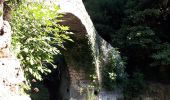 Tour Wandern Montauroux - Le long de la Siagne du Pont de la Siagne D2562 Bambouseraie - Photo 3