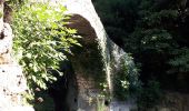 Excursión Senderismo Montauroux - Le long de la Siagne du Pont de la Siagne D2562 Bambouseraie - Photo 3