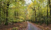 Trail Walking Florenville - Les Epioux 311023 - Photo 15