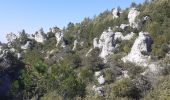 Percorso Marcia La Roquebrussanne - Source des Orris rochers menhirs (83) - Photo 12