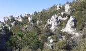 Randonnée Marche La Roquebrussanne - Source des Orris rochers menhirs (83) - Photo 12