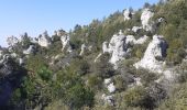 Randonnée Marche La Roquebrussanne - Source des Orris rochers menhirs (83) - Photo 12