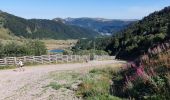 Tocht Stappen Mont-Dore - Puy de Sancy - Photo 12