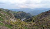 Percorso Marcia Sondernach - 2023-05-19 WE Marche Bivouac Massif du Hohneck - Photo 5