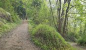 Trail Walking Liège - chenee beynes chevremont chenee - Photo 2