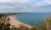 Percorso Marcia Argelès-sur-Mer - racou -  risque de portails (par les bois) port argeles (par la mer) le racou - Photo 12