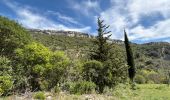 Trail  Minerve - Minerve bouclé Hérault  - Photo 4