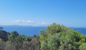 Randonnée Marche Cavalaire-sur-Mer - sortie de route - Photo 5