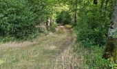 Trail Walking Lisle - Lisle - Bois de l'Epau - Photo 19