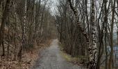Trail Walking Chaudfontaine - tour du bois de la rochette - Photo 8