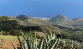 Tour Wandern Valverde - Valverde - Garoé - Ventejis (El Hierro) - Photo 11