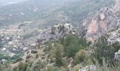 Trail Walking Moustiers-Sainte-Marie - La chaîne, Courchon  - Photo 7