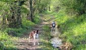 Excursión Senderismo Aix-en-Issart - Sentier du paradis - Photo 2