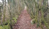 Trail Walking Bellignat - tour du Chatelard - Photo 5