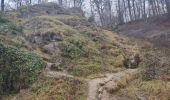 Excursión Senderismo Tintigny - lahage le cron et les aires de fauldes - Photo 4