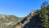 Tour Wandern Ispagnac - Salancon/ Le Rocher de la Table/ Lonjagnes - Photo 4