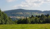 Tocht Stappen Bellefosse - Bellefosse - château des Roches - ferme du Promont - Photo 3