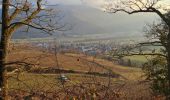 Trail Walking Zimmerbach - Rando Trail Walking Zimmerbach - Rando