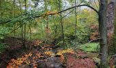 Trail Walking Saint-Hubert - rando minument albert 15/10/2020 - Photo 2