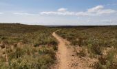 Randonnée Marche Vitrolles - plateau Vitrolles sud est - Photo 15