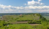 Tour Zu Fuß Leutenbach - Ehrenbachtalweg - Photo 2