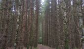 Excursión Senderismo Orcines - Ballade au Puy de Cōme - Photo 16