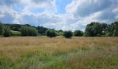 Tour Wandern Gulpen-Wittem - Epen - Photo 2